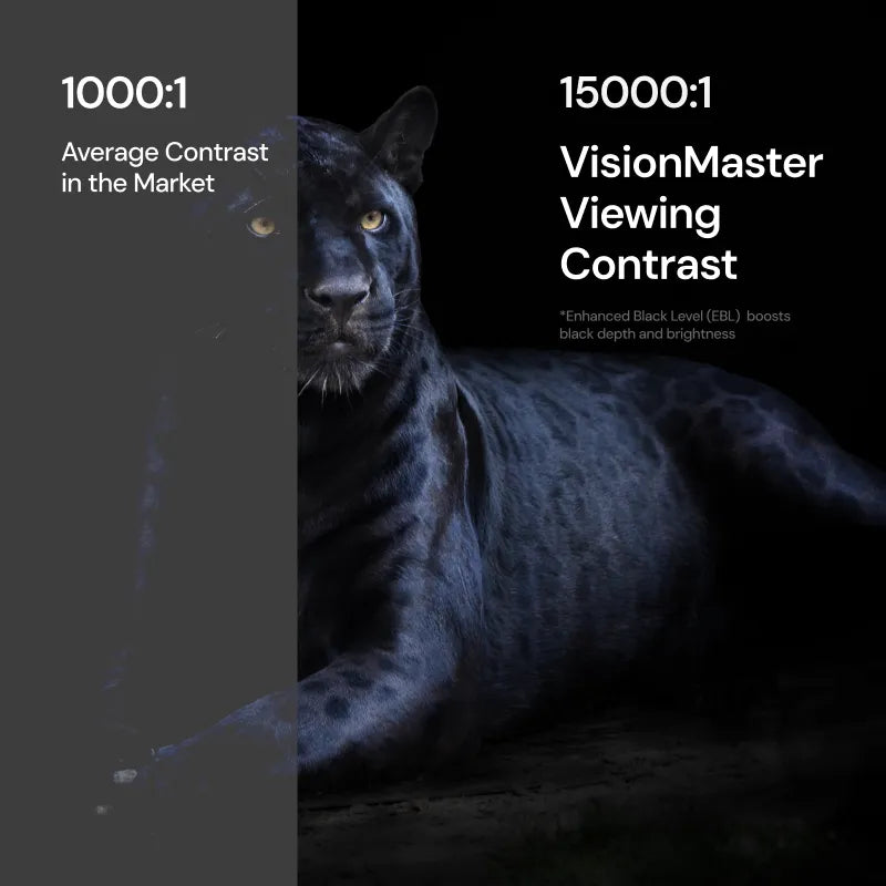 Valerion VisionMaster Pro2 & Pro|4K RGBトリプルレーザープロジェクター