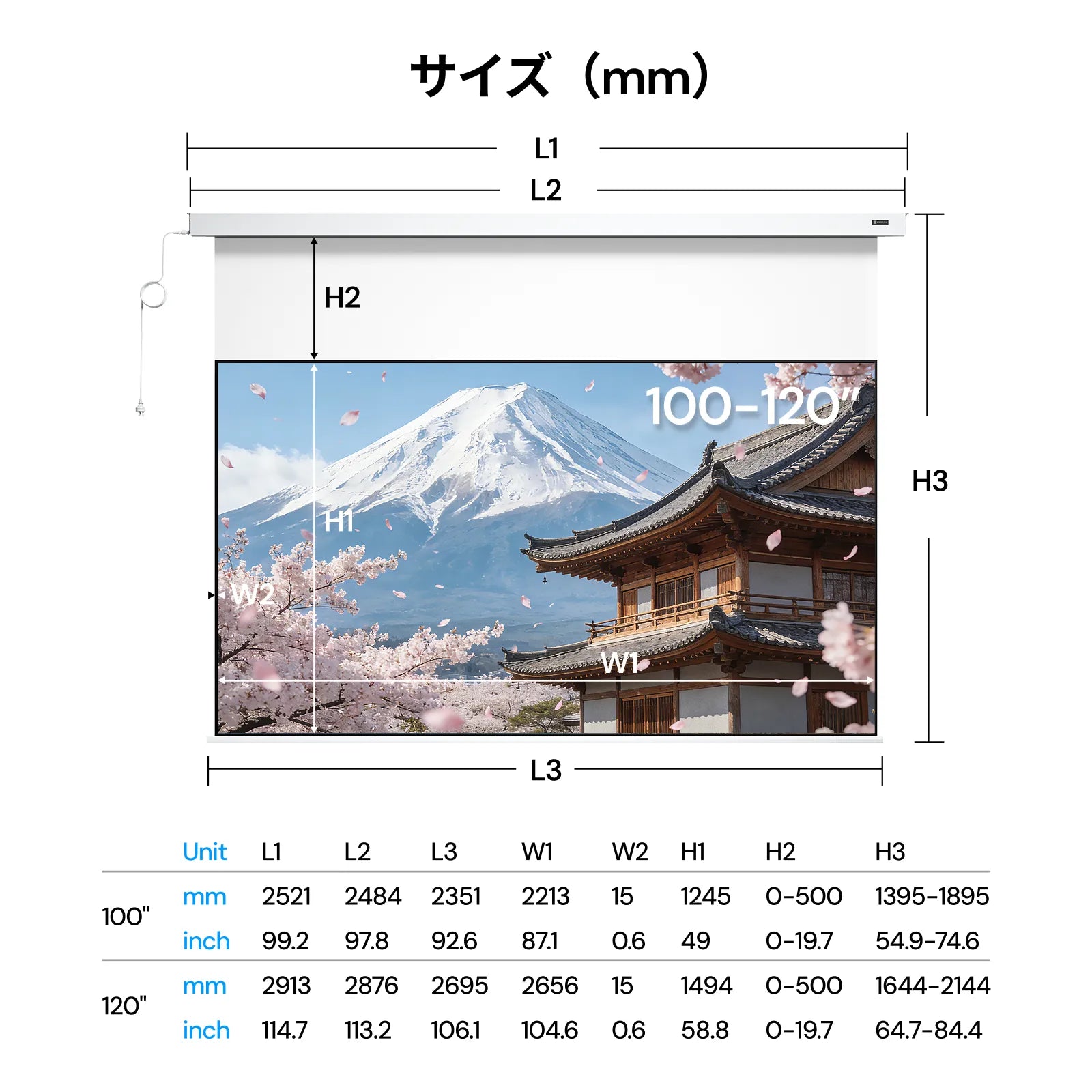 AWOL Valerion PureVision 電動マットホワイトスクリーン
