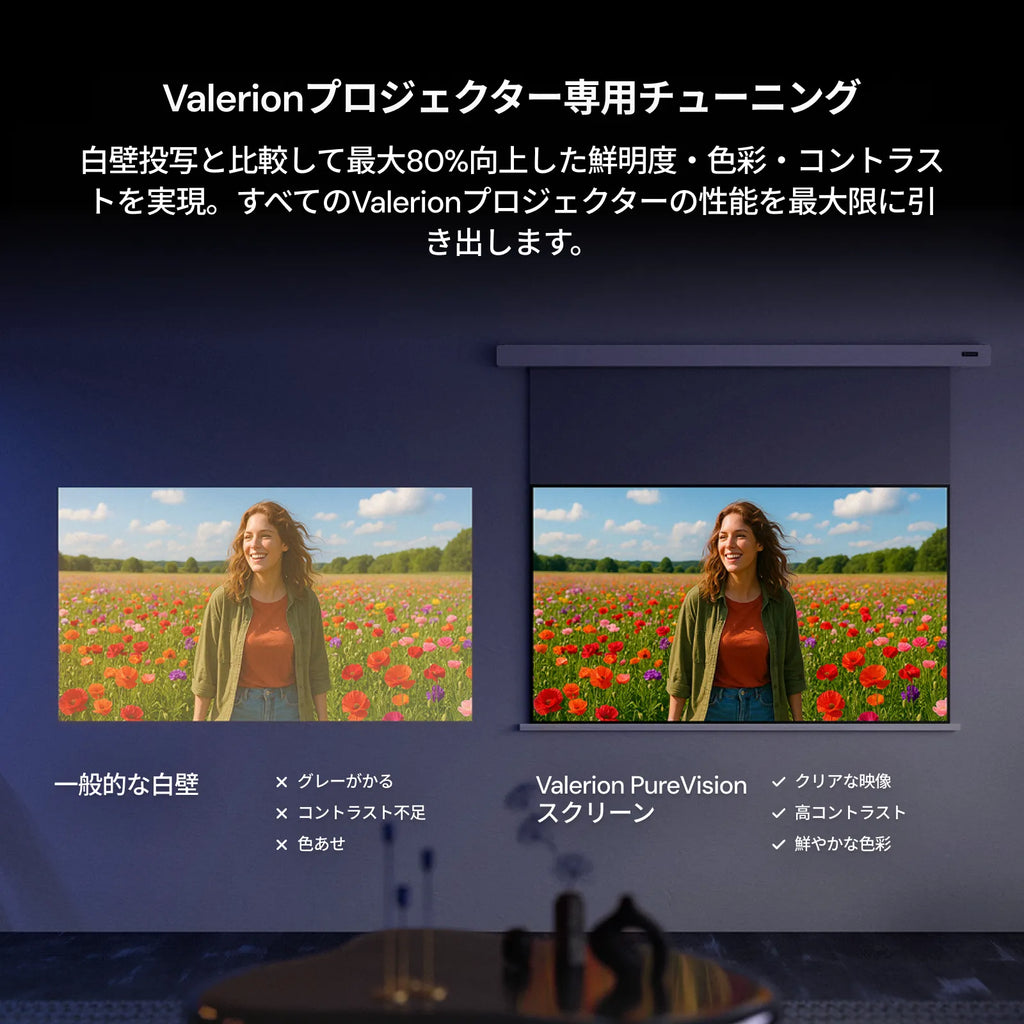 AWOL Valerion PureVision 電動マットホワイトスクリーン