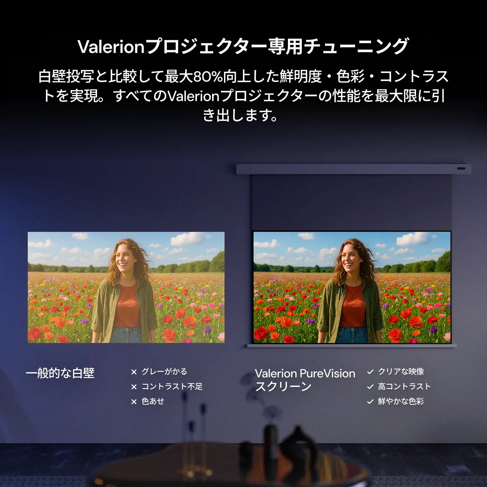 AWOL Valerion PureVision 電動マットホワイトスクリーン