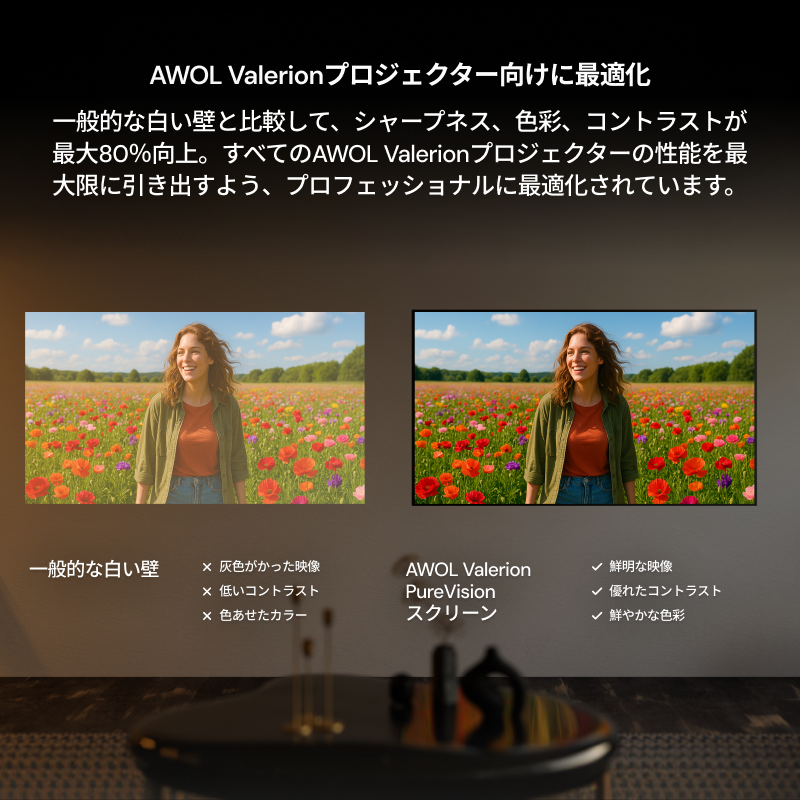 AWOL Valerion PureVisionスペックル低減スクリーン（固定フレーム）