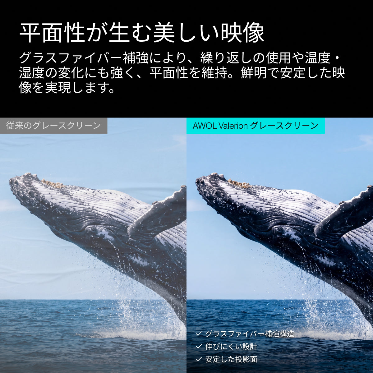 AWOL Valerion CineContrast 電動昇降式グラスファイバー製グレースクリーン