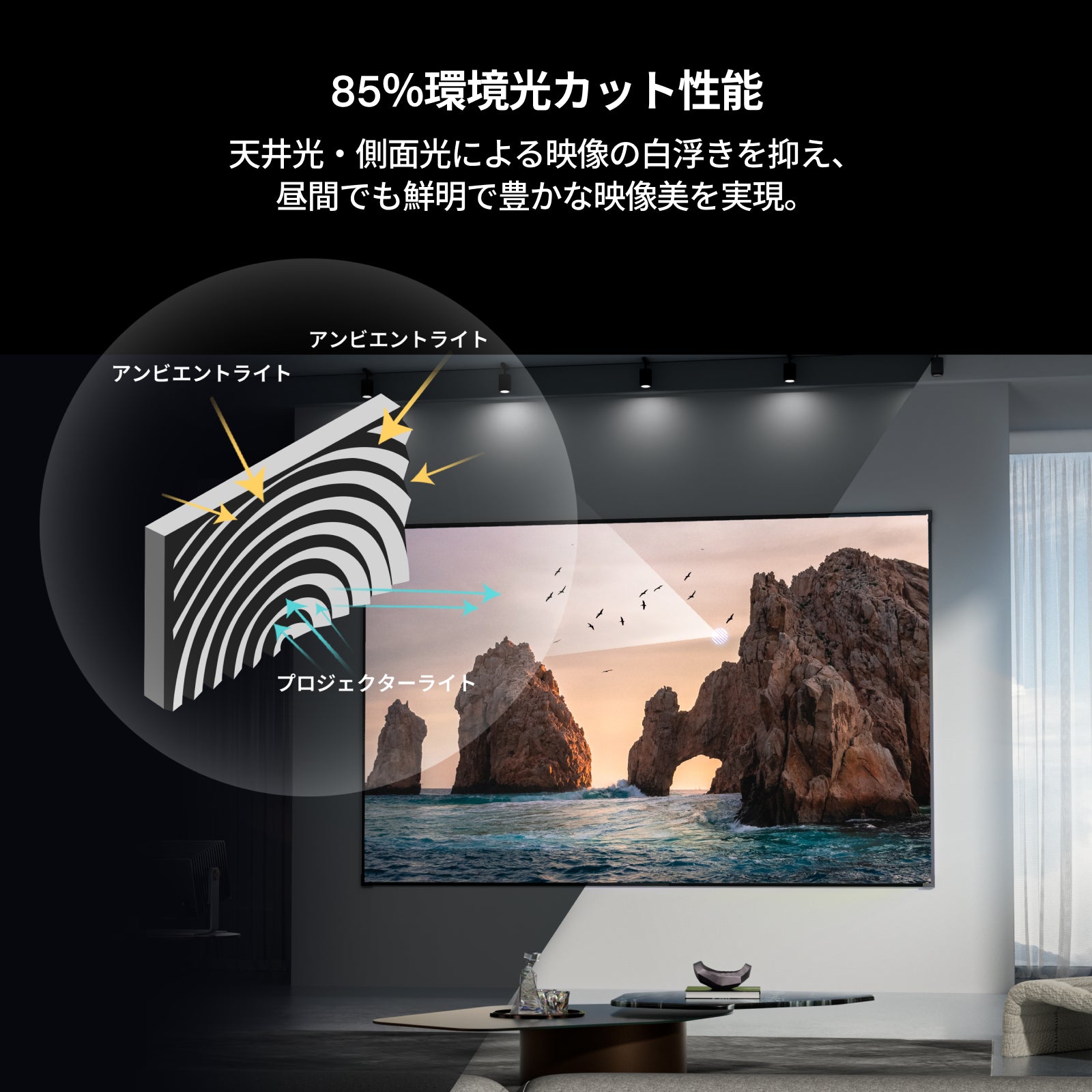 AWOL Valerion フレネル型アンビエントライトリジェクションスクリーン