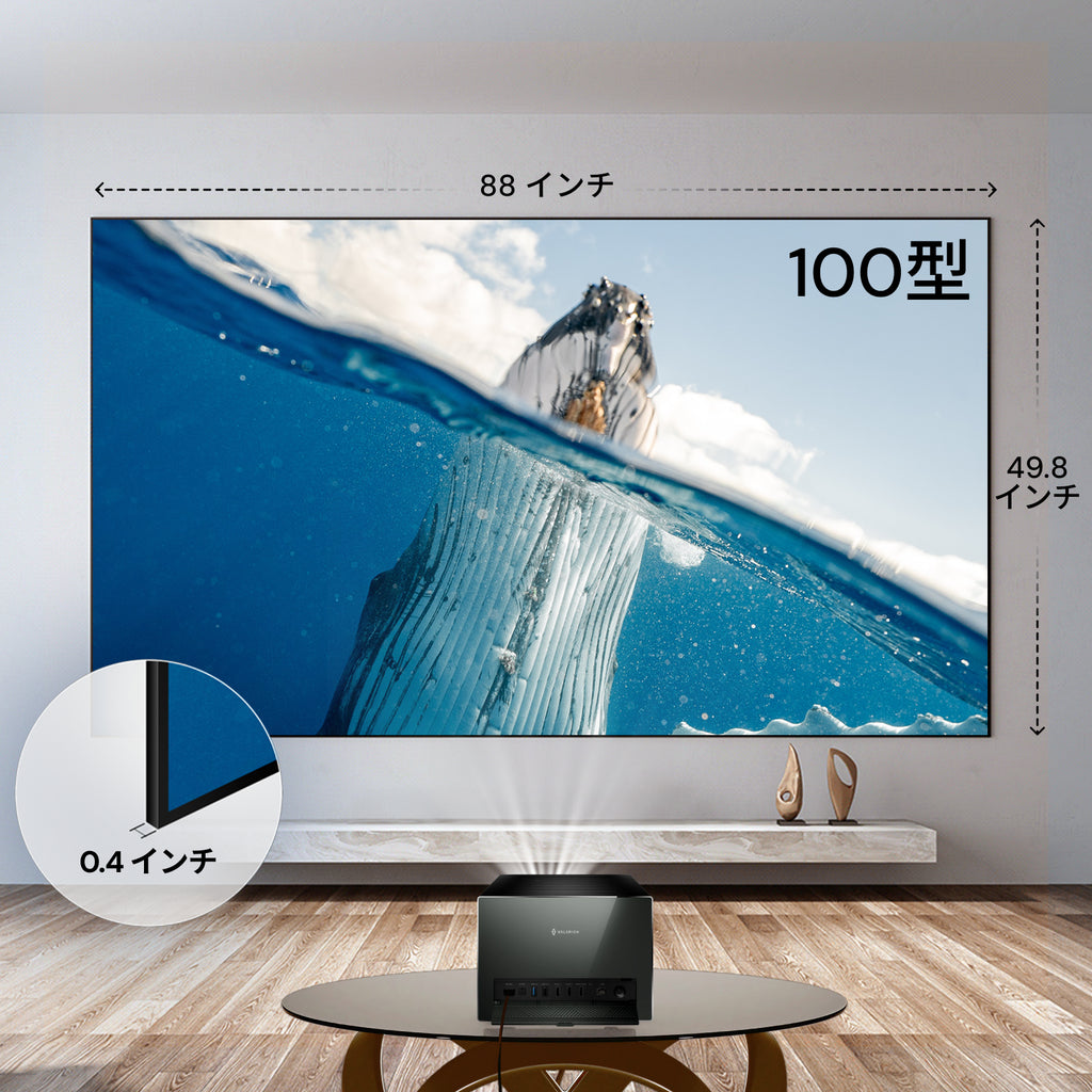 AWOL Valerion フレネル型アンビエントライトリジェクションスクリーン